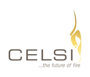 CELSI Logo